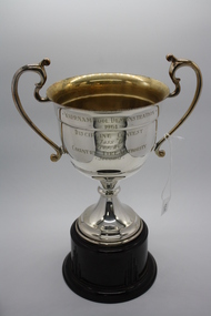 Memorabilia - Trophy