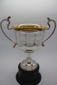 Memorabilia - Trophy
