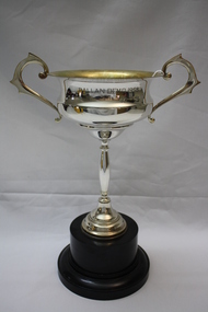 Memorabilia - Trophy