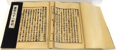 Book, 'Classic of Difficult Issues' by Bian Que / 《难经》