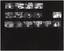 B&W proof sheet containing proofs of several photos from various events.