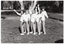 B&W photo of a five women posing for a photo in a park. They are standing close to one another in a line, at a 45 degree angle, with both arms outstretched. They are each wearing a sweatshirt printed with the "Joint Action" logo.  There are several trees in the background, with one very large tree directly behind them.