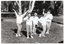 B&W photo of a five women posing for a photo in a park. They are standing close to one another in a line, at a 45 degree angle. Each woman is striking an individual pose. They are each wearing a sweatshirt printed with the "Joint Action" logo.  There are several trees in the background, with one very large tree directly behind them.