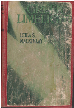 Romance novel.