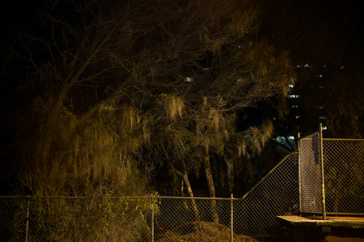 Photograph of a fence at night