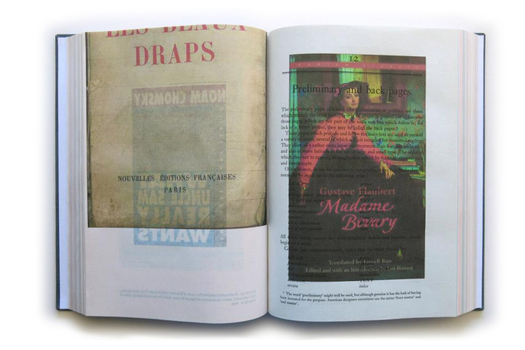 The Country Justice open to a page featuring an image of madame bovary