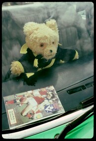 Photograph of a Richmond teddy mascot in a car.