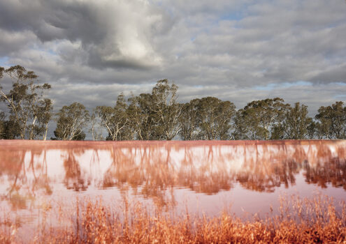 Photograph of a river with gumtrees. 