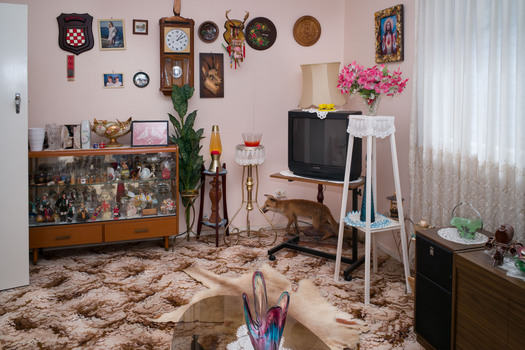 A 1950's style living room interior.