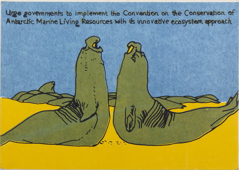 Two Weddell Seals facing towards each other in the centre of the image.