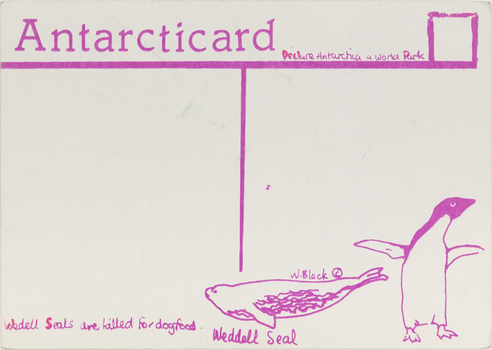 Rear of a post card. Divided into two halves by a pink line in the centre. In the top right corner is the outline of a small pink square for a stamp. Along the bottom of the card, there is a drawing of a seal in the centre, and a penguin on the right.