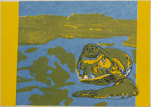 A postcard featuring an Elephant Seal