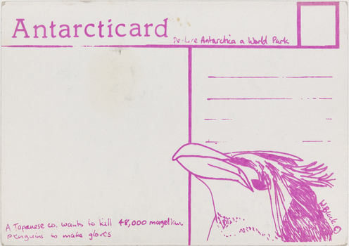 Rear of a post card. Divided into two halves by a pink line in the centre. In the top right corner is the outline of a small pink square for a stamp. The bottom right quarter of the card is taken up by a drawing of the head of a penguin.