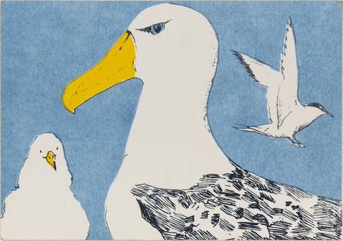 A postcard featuring 3 artic birds.