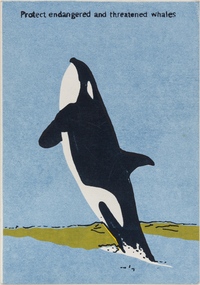 Image of a large black and white whale, leaping vertical out of the water.