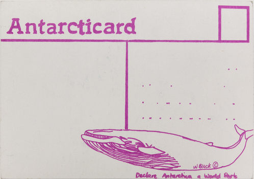Rear of a post card. Divided into two halves by a pink line in the centre. In the top right corner is the outline of a small pink square for a stamp. In the bottom right corner is a drawing of a whale.