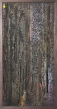 An abstract landscape of burnt trees after a bush fire.