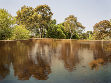 A manipulated image of Coburg Lake. In it, the waterline and the canopy of the trees collide.