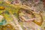 An image of a woman playing the harp 