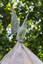 A bronze bird