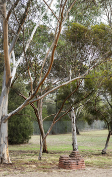A brick sculpture set amongst gumtrees 