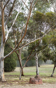 A brick sculpture set amongst gumtrees 