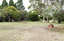 A brick sculpture set amongst gumtrees 