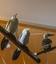 Three cormorant sculptures on a metal pole 