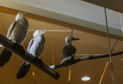 Three cormorant sculptures on a metal pole 