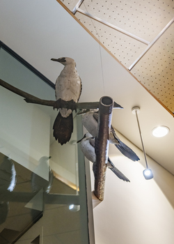 Three cormorant sculptures on a metal pole 