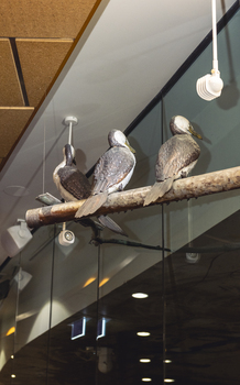Three cormorant sculptures on a metal pole 