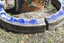 A large scale mosaic fish sculpture in a public park. 
