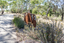 A large rusted cut out sculpture with native floral emblems form the local area. it is located in a bush setting along a creek.