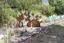 A large rusted cut out sculpture with native floral and emblems form the local area. It also includes 3 silver butterfly's. It is located in a bush setting along a creek.