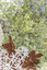 A large rusted cut out sculpture with native floral and emblems form the local area. It also includes 3 silver butterfly's. It is located in a bush setting along a creek.