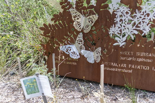 A large rusted cut out sculpture with native floral and emblems form the local area. It also includes 3 silver butterfly's. It is located in a bush setting along a creek.