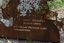 A large rusted cut out sculpture with native floral and emblems form the local area. It also includes 3 silver butterfly's. It is located in a bush setting along a creek.