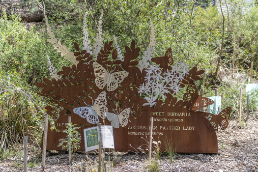 A large rusted cut out sculpture with native floral and emblems form the local area. It also includes 3 silver butterfly's. It is located in a bush setting along a creek.