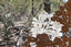 A large rusted cut out sculpture with native floral emblems form the local area. it is located in a bush setting along a creek.