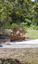 A large rusted cut out sculpture with native floral emblems form the local area. it is located in a bush setting along a creek.