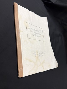 Tape and glue bound paperback book with cover in poor condition with stains and corners curling.  Tape on spine is light brown and text on cover is black