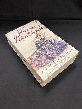 Thick paperback softcover book. The title is printed in pink cursive print at the top. There is a hand drawn illustration of a lady in a long blue gown reading by a fountain. The author's name is printed in black at the bottom of the cover.