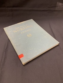 Faded blue hardcover book with the title and author printed in gold across the front and along the spine. There is a bright orange sticker at the bottomf the spine with B139 written on it.