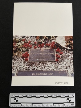 Coloured photograph of a plaque surrounded by stones and poppies on a gravesite.