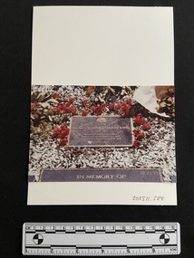 Coloured photograph of a plaque surrounded by stones and poppies on a gravesite.