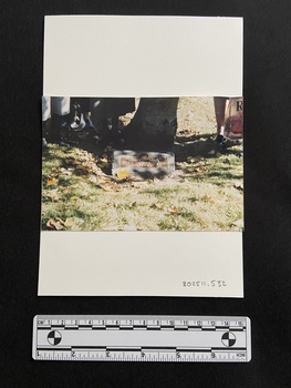 Coloured photograph of a grassed area with fallen leaves surrounding a memorial plaque in the ground. The base of a tree and several people's feet are visible in the background.