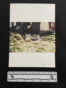 Coloured photograph of a grassed area with fallen leaves surrounding a memorial plaque in the ground. The base of a tree and several people's feet are visible in the background.
