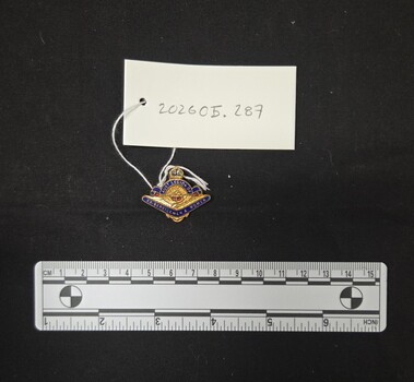 Metal and enamel badge featuring a variant of the tri services symbol including a rising sun, anchor and a pair of wings. A blue enamel semicircle of scroll work is above this with the text 'AUST. LEGION OF' with a crown shape above it and the numbers '46' in metal against blue enamel. Below the wings is a boomerang shape in blue enamel with the text 'EX-SERVICEMEN & WOMEN'. 