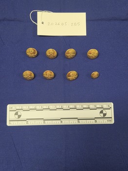 Eight brass buttons with a raised Royal Australian Air Force crown and eagle motif. All buttons are the same size with the exception of one smaller button.