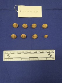 Eight brass buttons with a raised Royal Australian Air Force crown and eagle motif. All buttons are the same size with the exception of one smaller button.